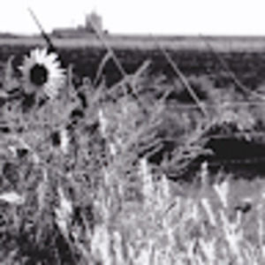 Meet your Posher, Joann